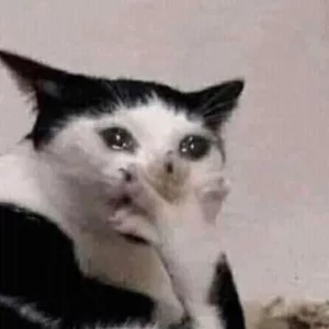 03abf96c701077b05f008905118451c3